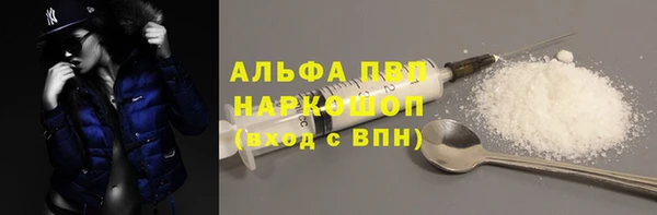 гидра Абаза