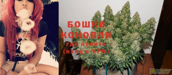 гидра Абаза