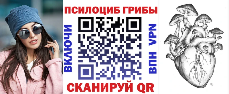 купить наркоту  Алзамай  Псилоцибиновые грибы Cubensis 