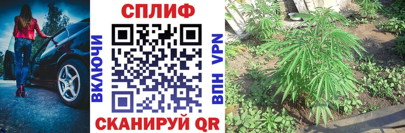 наркотики  Алзамай  Бошки Шишки VHQ 